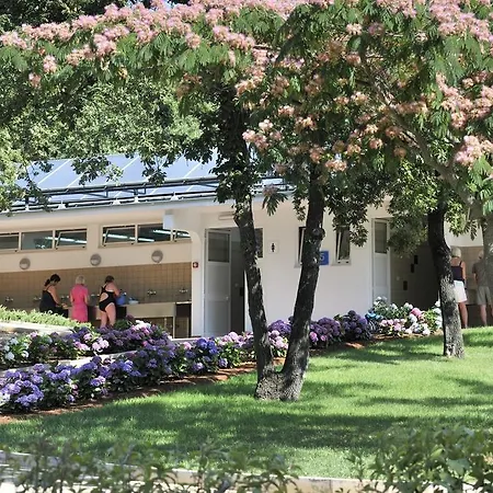 Vakantiepark Mobile Homes Bijela Uvala Vacanceselect Poreč